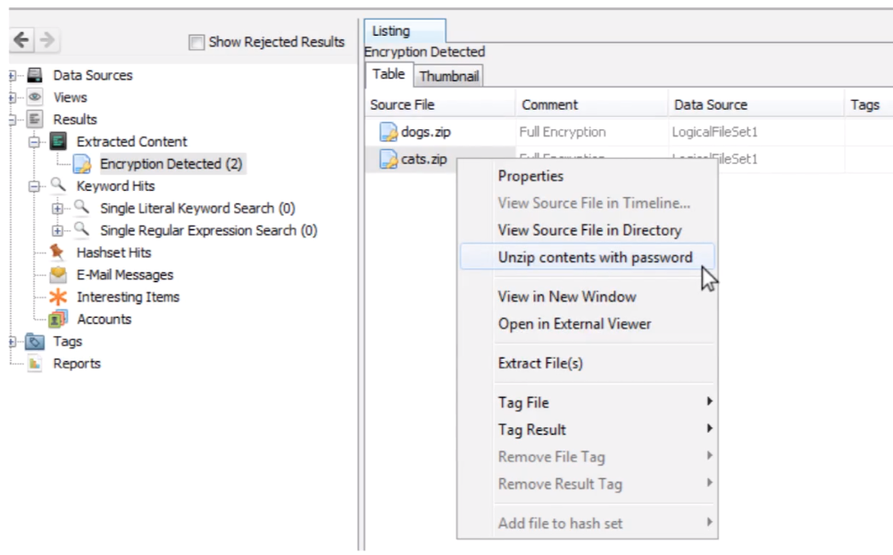 Autopsy Embedded Files Password